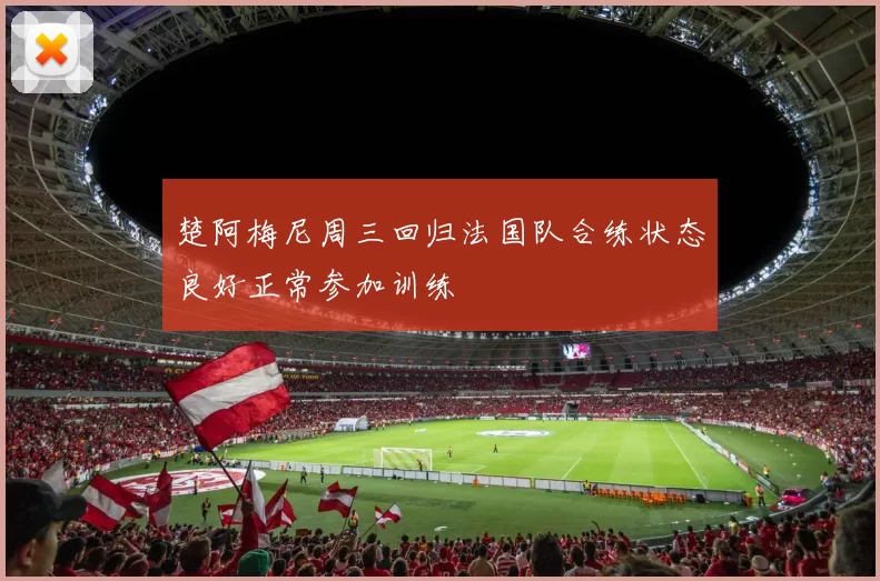 楚阿梅尼周三回归法国队合练状态良好正常参加训练